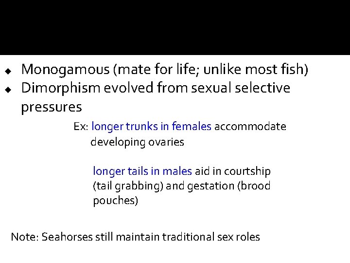 u u Monogamous (mate for life; unlike most fish) Dimorphism evolved from sexual selective u u Monogamous (mate for life; unlike most fish) Dimorphism evolved from sexual selective