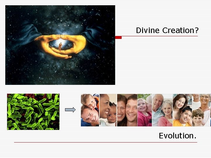 Divine Creation? Evolution. 