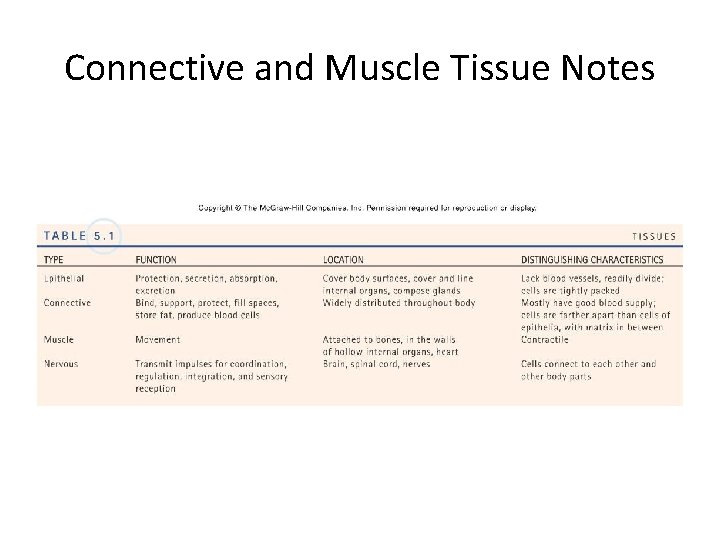 Connective and Muscle Tissue Notes 