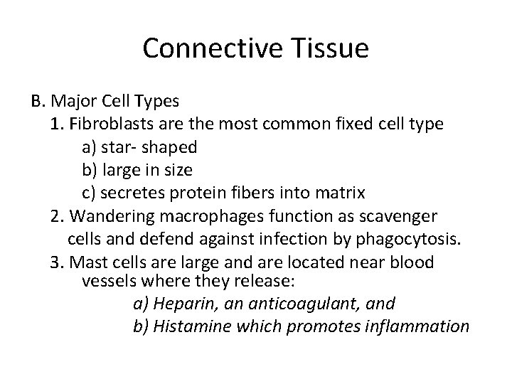 Connective Tissue B. Major Cell Types 1. Fibroblasts are the most common fixed cell