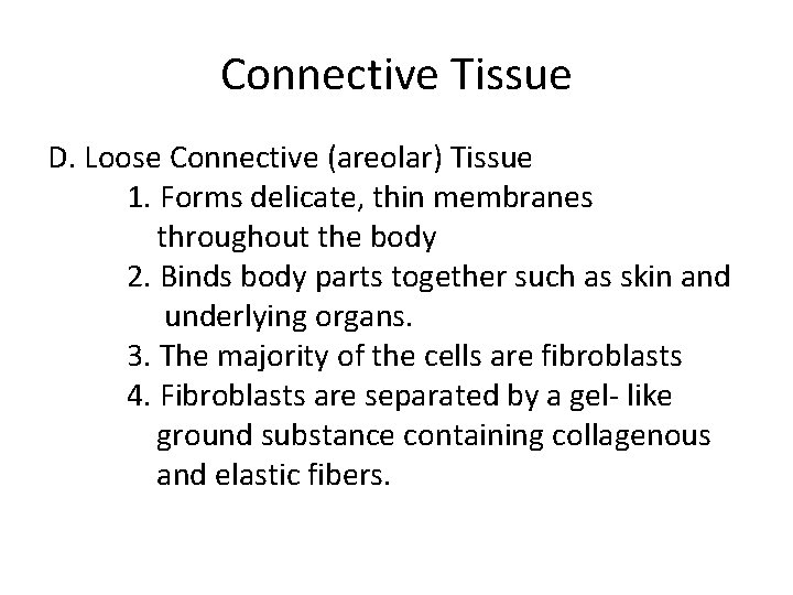 Connective Tissue D. Loose Connective (areolar) Tissue 1. Forms delicate, thin membranes throughout the
