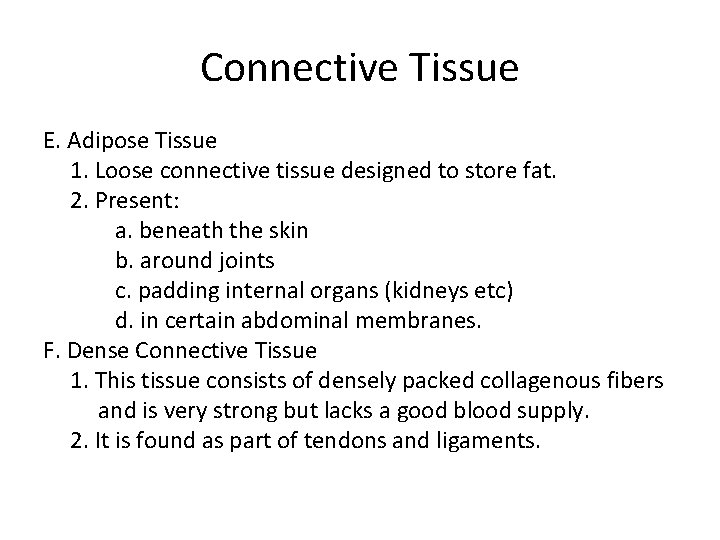 Connective Tissue E. Adipose Tissue 1. Loose connective tissue designed to store fat. 2.