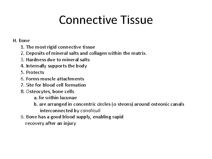 Connective Tissue H. Bone 1. The most rigid connective tissue 2. Deposits of mineral