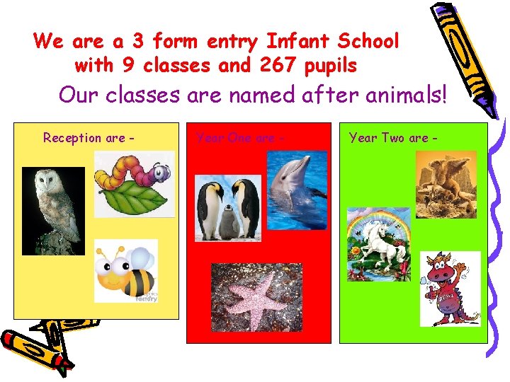 We are a 3 form entry Infant School with 9 classes and 267 pupils We are a 3 form entry Infant School with 9 classes and 267 pupils