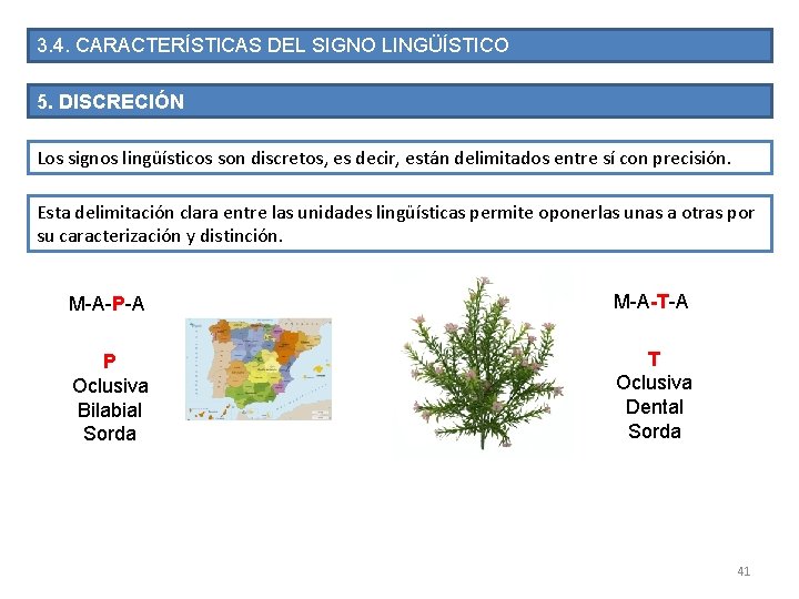 3. 4. CARACTERÍSTICAS DEL SIGNO LINGÜÍSTICO 5. DISCRECIÓN Los signos lingüísticos son discretos, es