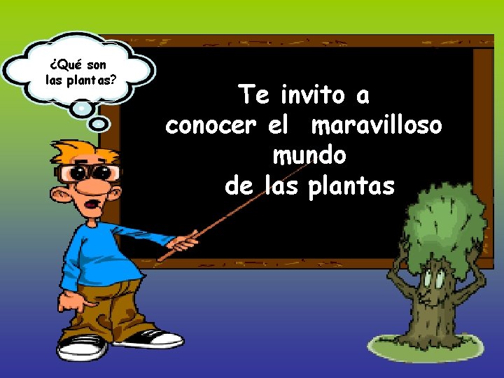 ¿Qué son las plantas? Te invito a conocer el maravilloso mundo de las plantas