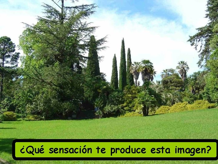 ¿Qué sensación te produce esta imagen? 