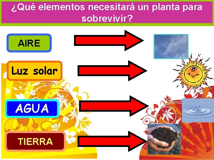 ¿Qué elementos necesitará un planta para sobrevivir? AIRE Luz solar AGUA TIERRA 