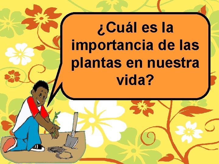 ¿Cuál es la importancia de las plantas en nuestra vida? 