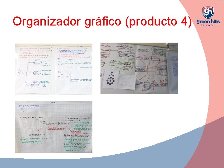 Organizador gráfico (producto 4) 