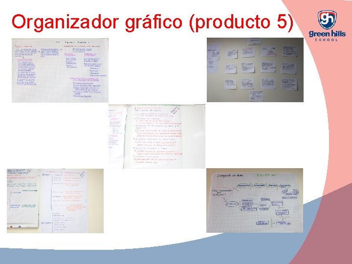 Organizador gráfico (producto 5) 