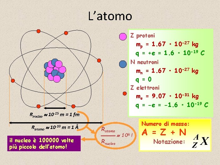 L’atomo Z protoni mp = 1. 67 • 10 -27 kg q = +e