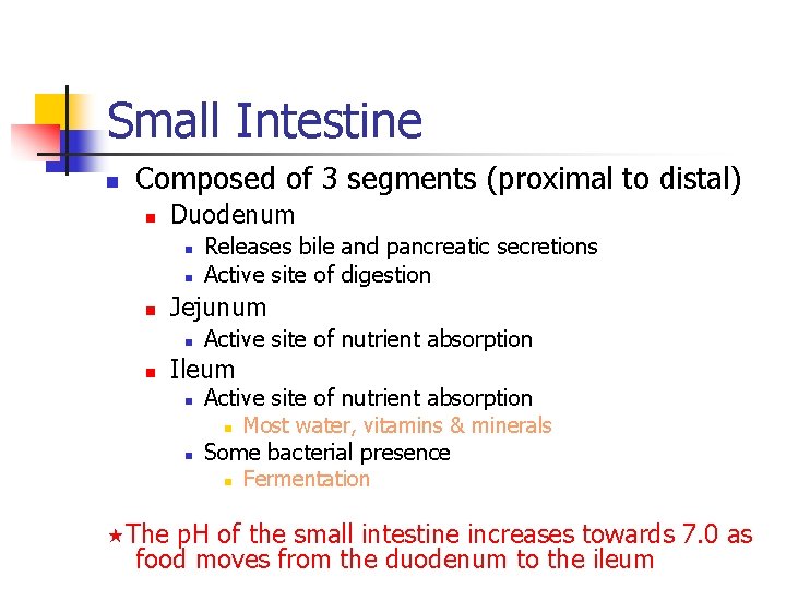 Small Intestine n Composed of 3 segments (proximal to distal) n Duodenum n n Small Intestine n Composed of 3 segments (proximal to distal) n Duodenum n n