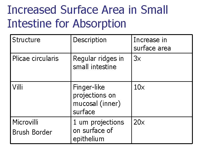 Increased Surface Area in Small Intestine for Absorption Structure Description Plicae circularis Regular ridges Increased Surface Area in Small Intestine for Absorption Structure Description Plicae circularis Regular ridges