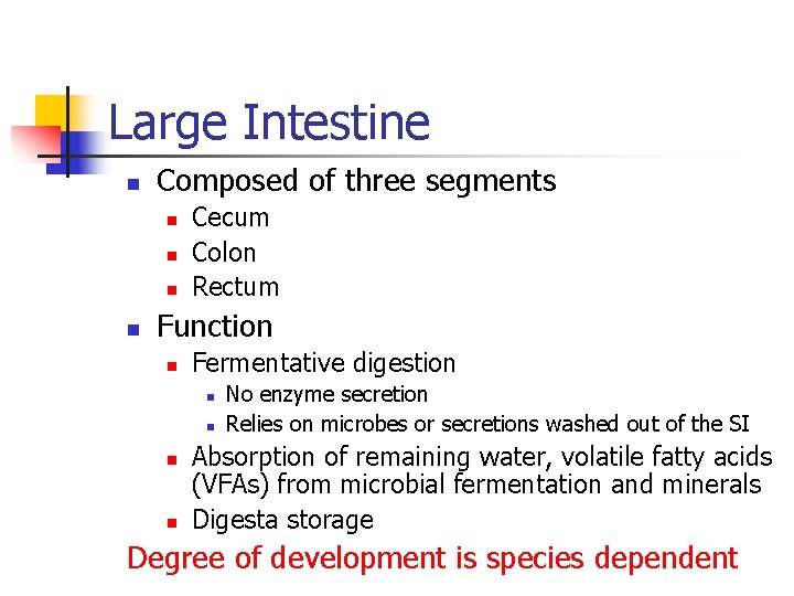 Large Intestine n Composed of three segments n n Cecum Colon Rectum Function n Large Intestine n Composed of three segments n n Cecum Colon Rectum Function n