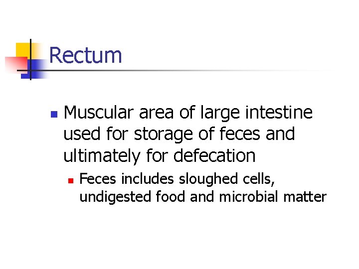Rectum n Muscular area of large intestine used for storage of feces and ultimately Rectum n Muscular area of large intestine used for storage of feces and ultimately