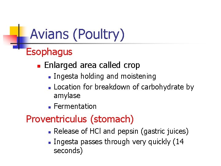 Avians (Poultry) Esophagus n Enlarged area called crop n n n Ingesta holding and Avians (Poultry) Esophagus n Enlarged area called crop n n n Ingesta holding and