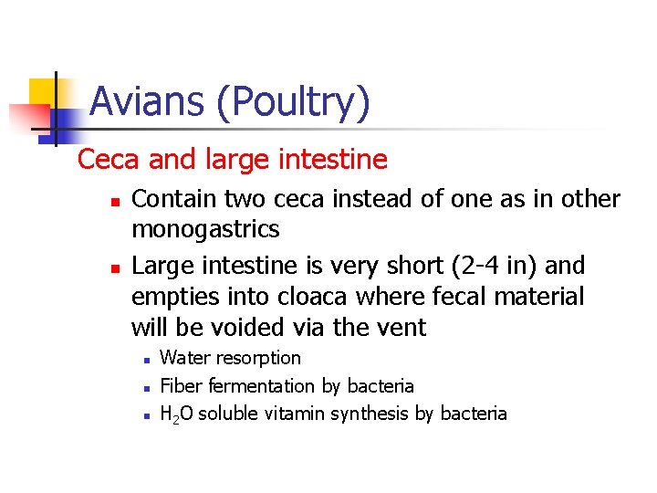 Avians (Poultry) Ceca and large intestine n n Contain two ceca instead of one Avians (Poultry) Ceca and large intestine n n Contain two ceca instead of one