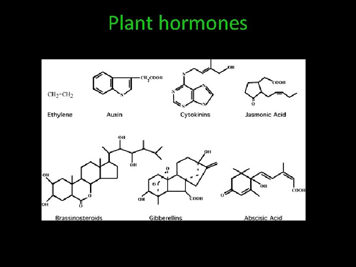 Plant hormones 