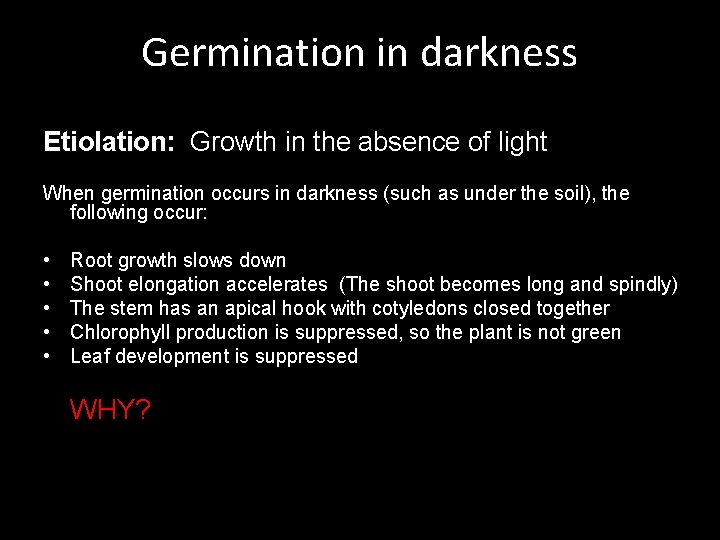 Germination in darkness Etiolation: Growth in the absence of light When germination occurs in