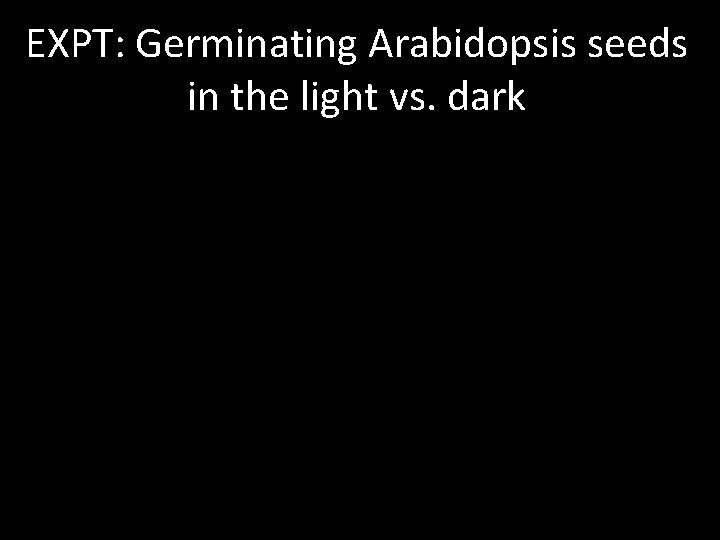 EXPT: Germinating Arabidopsis seeds in the light vs. dark 