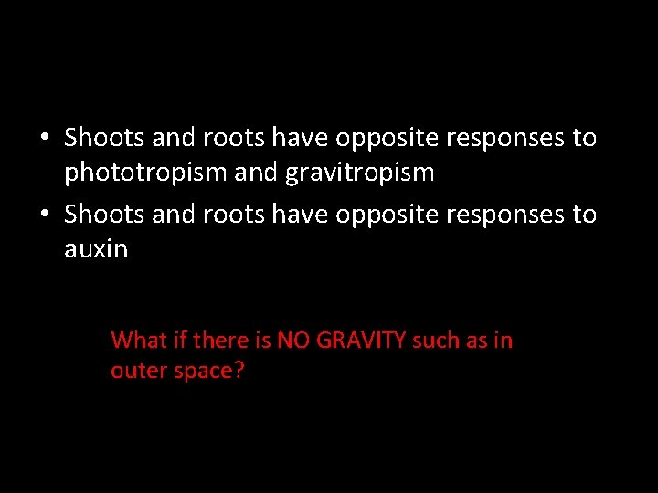  • Shoots and roots have opposite responses to phototropism and gravitropism • Shoots
