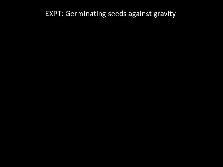 EXPT: Germinating seeds against gravity 