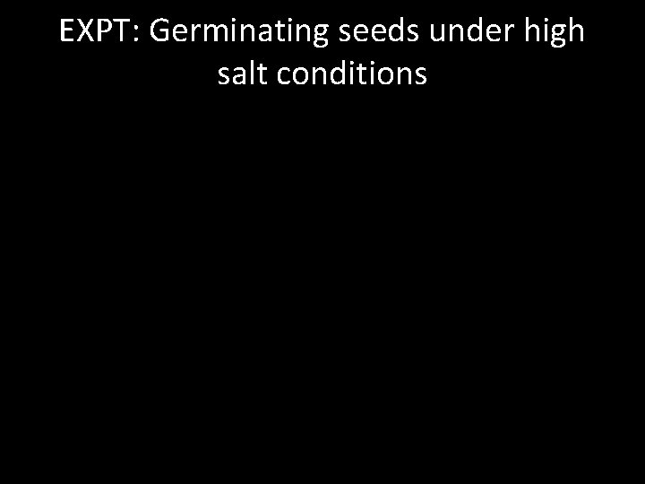 EXPT: Germinating seeds under high salt conditions 