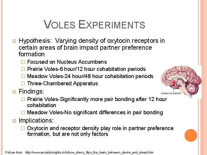 VOLES EXPERIMENTS Hypothesis: Varying density of oxytocin receptors in certain areas of brain impact
