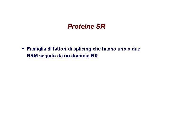 Proteine SR § Famiglia di fattori di splicing che hanno uno o due RRM Proteine SR § Famiglia di fattori di splicing che hanno uno o due RRM
