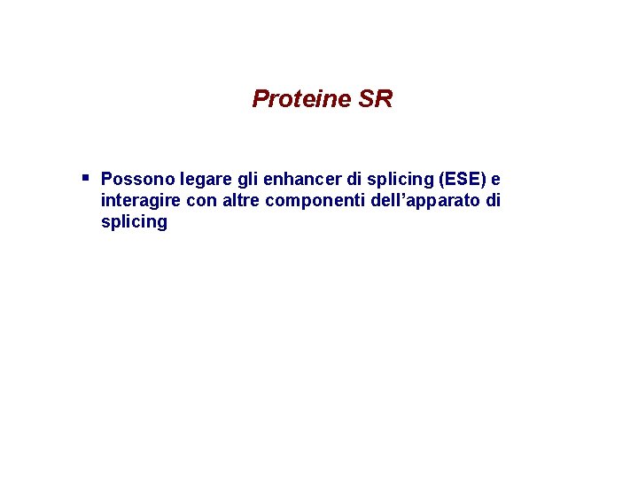 Proteine SR § Possono legare gli enhancer di splicing (ESE) e interagire con altre Proteine SR § Possono legare gli enhancer di splicing (ESE) e interagire con altre