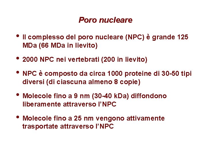 Poro nucleare • Il complesso del poro nucleare (NPC) è grande 125 MDa (66 Poro nucleare • Il complesso del poro nucleare (NPC) è grande 125 MDa (66