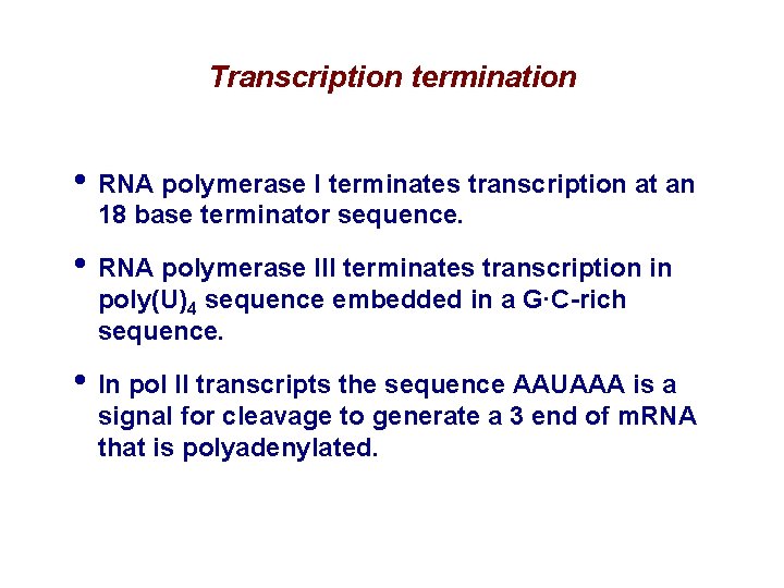 Transcription termination • RNA polymerase I terminates transcription at an 18 base terminator sequence. Transcription termination • RNA polymerase I terminates transcription at an 18 base terminator sequence.