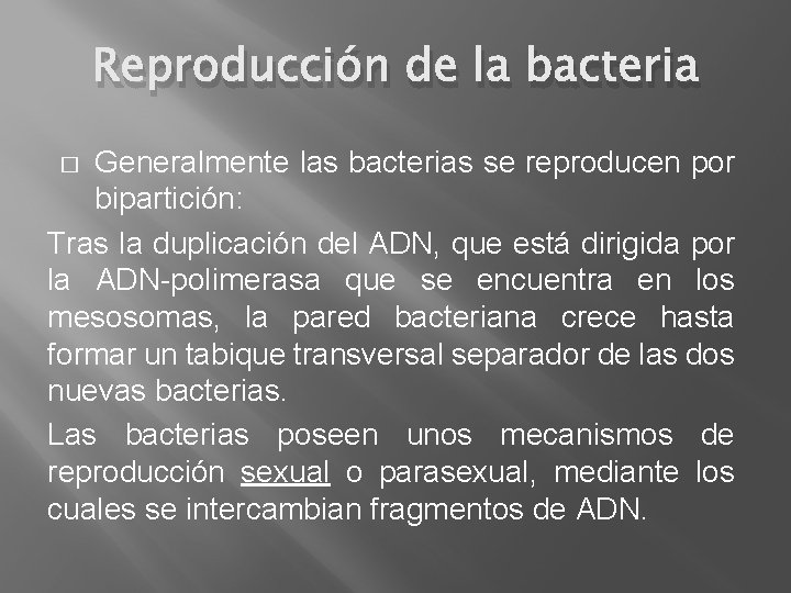 Reproducción de la bacteria Generalmente las bacterias se reproducen por bipartición: Tras la duplicación