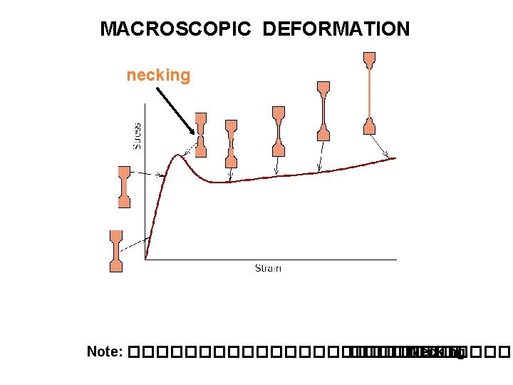 MACROSCOPIC DEFORMATION necking STAGES OF DEFORMATION OF A SEMI-CRYSTALLINE POLYMER Note: �������������� Necking 