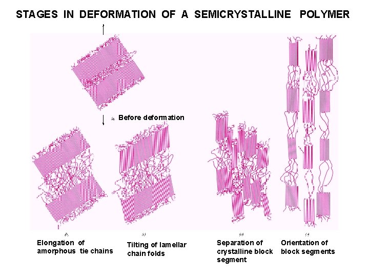 STAGES IN DEFORMATION OF A SEMICRYSTALLINE POLYMER Before deformation Elongation of amorphous tie chains