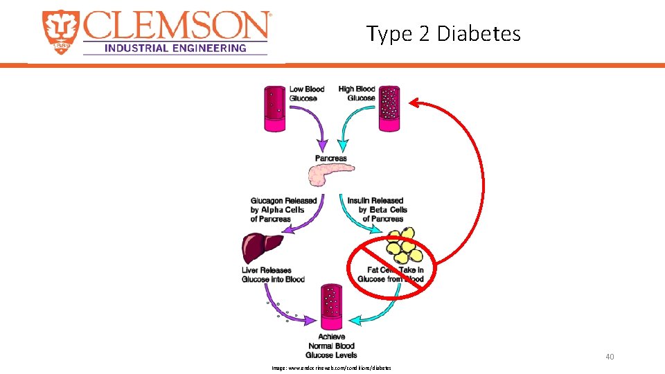 Type 2 Diabetes 40 Image: www. endocrineweb. com/conditions/diabetes 