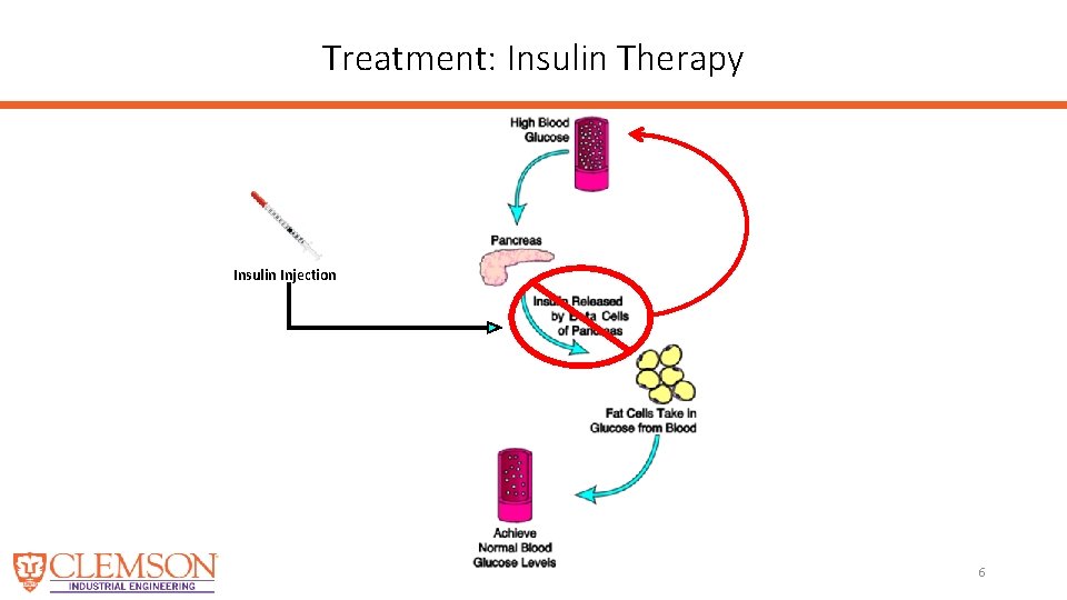 Treatment: Insulin Therapy Insulin Injection 6 