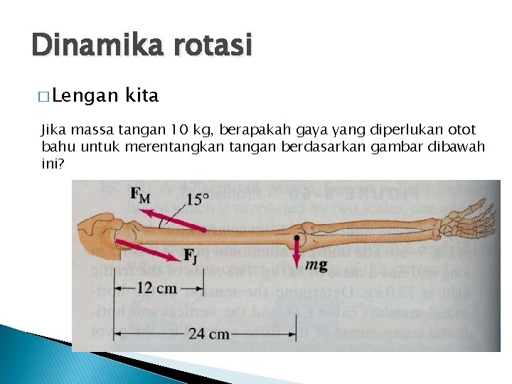 Dinamika rotasi � Lengan kita Jika massa tangan 10 kg, berapakah gaya yang diperlukan