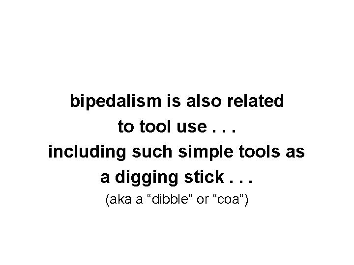 bipedalism is also related to tool use. . . including such simple tools as