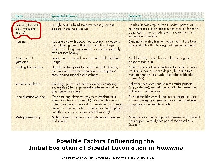 Possible Factors Influencing the Initial Evolution of Bipedal Locomotion in Hominini Understanding Physical Anthropology