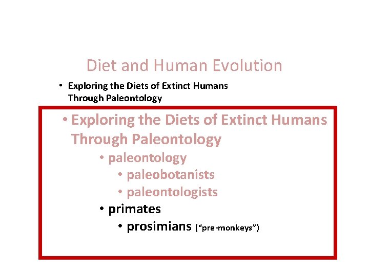 Diet and Human Evolution • Exploring the Diets of Extinct Humans Through Paleontology •