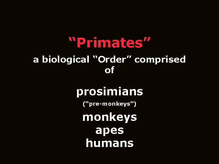 “Primates” a biological “Order” comprised of prosimians (“pre-monkeys”) monkeys apes humans 