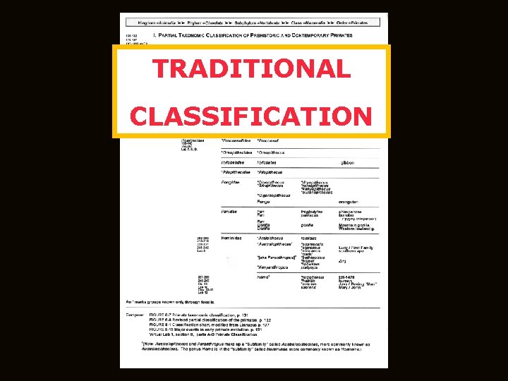 TRADITIONAL CLASSIFICATION 