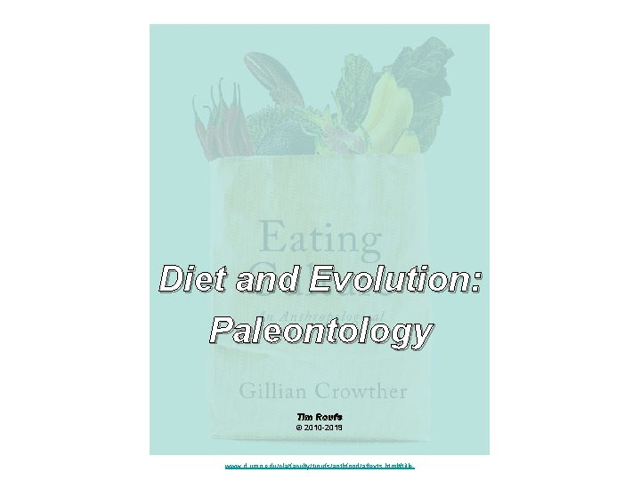 Diet and Evolution: Paleontology Tim Roufs © 2010 -2019 www. d. umn. edu/cla/faculty/troufs/anthfood/aftexts. html#title