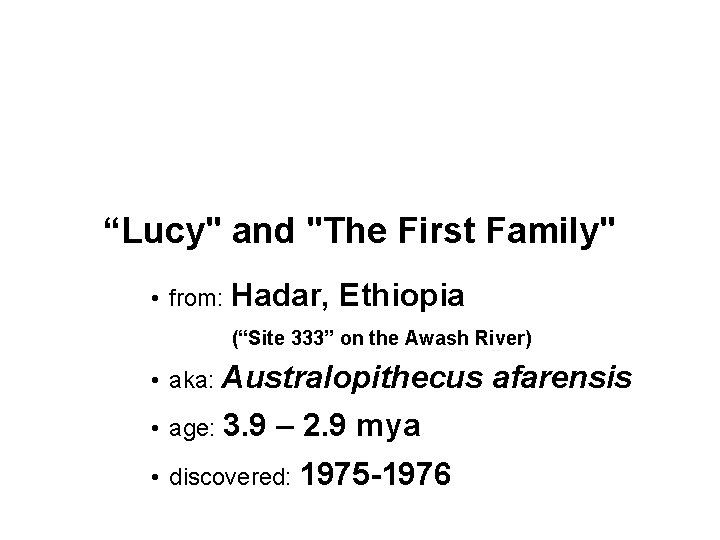 “Lucy" and "The First Family" • from: Hadar, Ethiopia (“Site 333” on the Awash