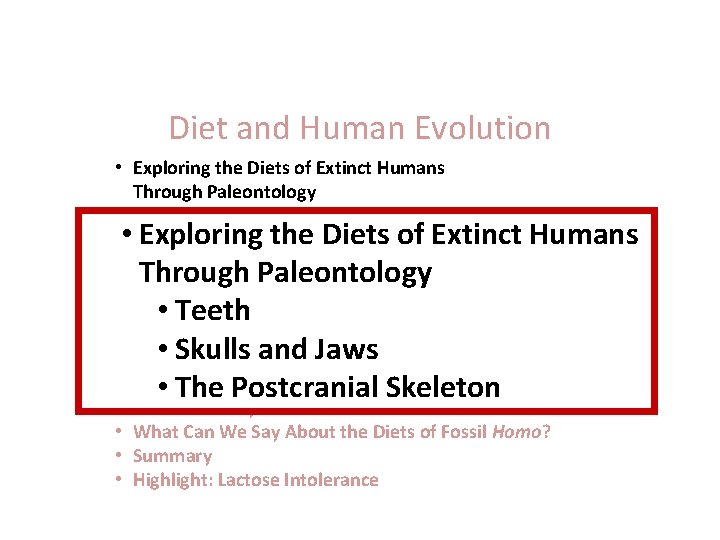 Diet and Human Evolution • Exploring the Diets of Extinct Humans Through Paleontology •