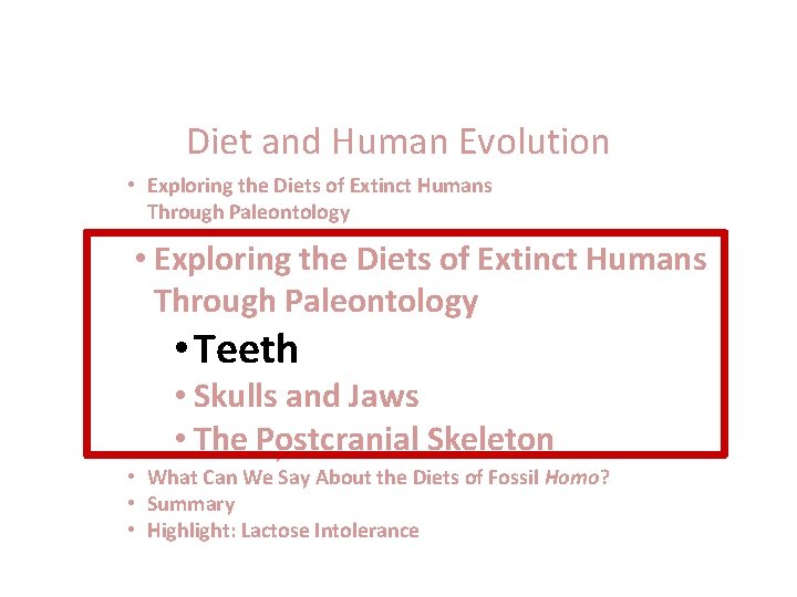 Diet and Human Evolution • Exploring the Diets of Extinct Humans Through Paleontology •