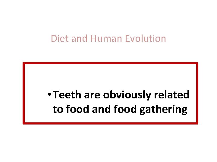 Diet and Human Evolution • Exploring the Diets of Extinct Humans Through Paleontology •
