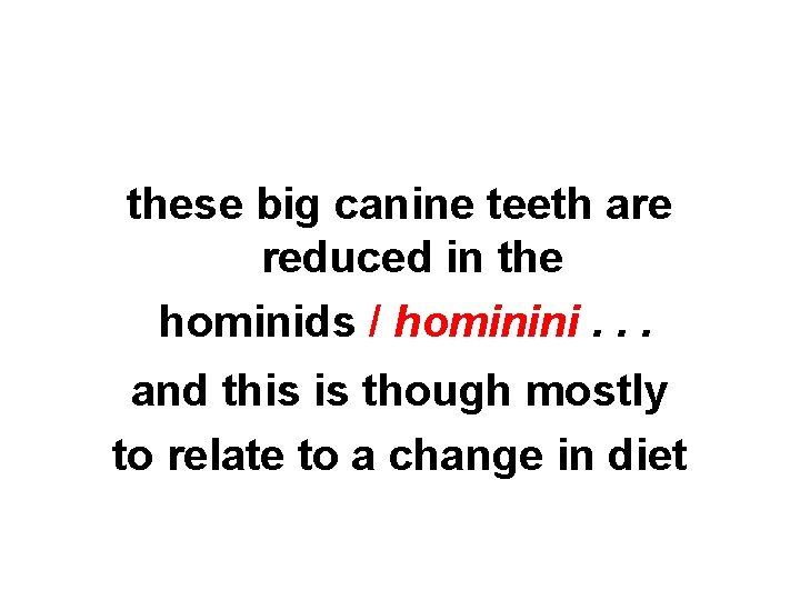 these big canine teeth are reduced in the hominids / hominini. . . and